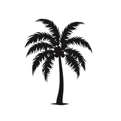 Fototapeta premium palm trees silhouettes
