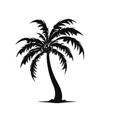 palm trees silhouettes