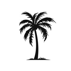 Obraz premium palm trees silhouettes