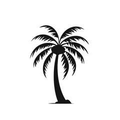 palm trees silhouettes