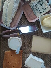 Gourmet Cheese Platter: Top-Down View of Exquisite Assortment Including Roquefort, Truffle Brie, Mimolette, Goat Cheese, and Emmental