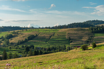 Obraz premium summer landscape in the mountains