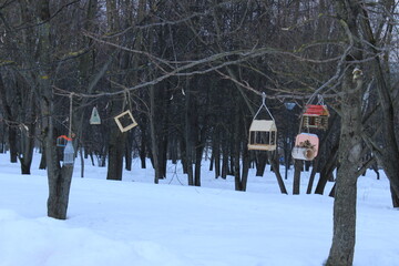 Different bird feeders in the city park.Moscow. Russia.