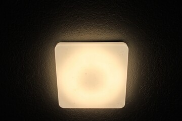 Square ceiling lamp. USA.