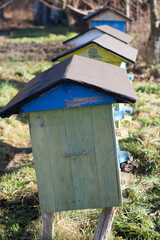 beehives for bees