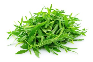 A bunch of tarragon are piled on top of each other. Ready to be used in a recipe. The pile of tarragon is spread out on a white background