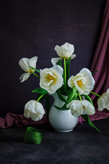Still life. White tulips in a white jug on a burgundy background