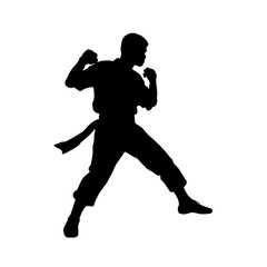 Fototapeta na wymiar karate player silhouette logo design