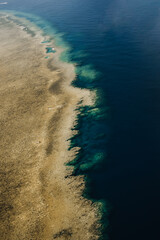 Obraz premium Aerial view of Great Barrier Reef coral reef structure in Whitsundays, Aerilie beach, Queensland, Australia