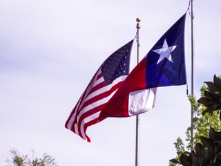 US & Texas Flag