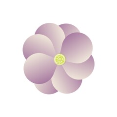 Pink flower isolated on white  background flower icon design 