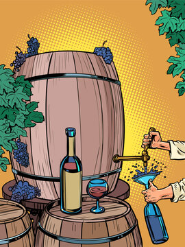 The process of making wine and drinking it. A man pours a bottle of liquid from a barrel of grapes. Alcoholic drinks with incredible taste for a restaurant.
