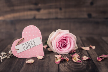 pink rose on wooden background - 754466043