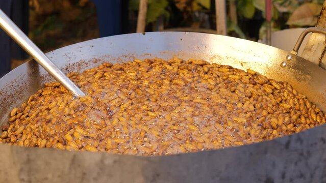 The process of frying Hon mhai silkworms in a pan with boiling oil in outdoor market in Thailand. Street food concept