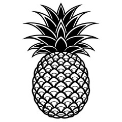 pineapple-vector-illustration