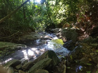 small waterfall in the middle of nature
