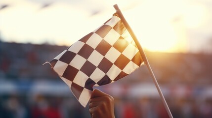 Person holding a checkered flag in front of a cheering crowd. Suitable for sports events or victory celebrations