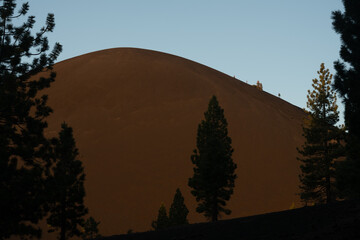Silhouetted Pine Trees Against Cinder Cone