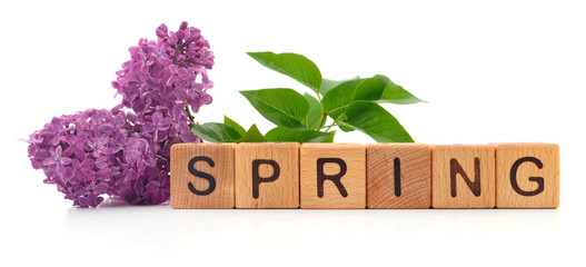 SPRING word and lilac flowers. - 754471400