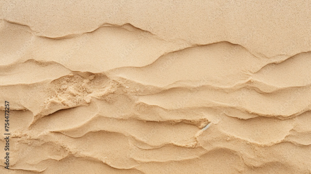 Poster detailed view of a rock embedded in sandy beach. suitable for geological or nature-themed projects