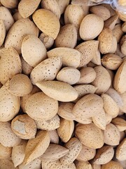 close up of almond