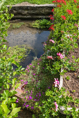 fleurs et plantations de Dicy, Bourgogne