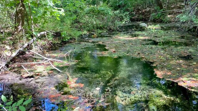 Antelope Springs at Chickasaw National Recreation area. Freshwater Spring comes from the Arbuckle-Simpson aquifer and flows into the Travertine Creek.