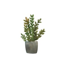 A small potted plant in the Scandinavian style, a house plant.Watercolor illustration isolated on a white background