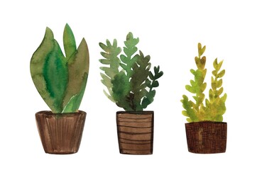 A set of indoor plants in a Scandinavian-style pot, a house plant.Watercolor illustration isolated on a white background