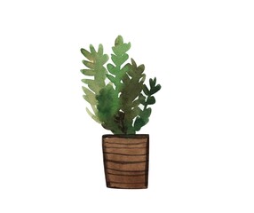 A small potted plant in the Scandinavian style, a house plant.Watercolor illustration isolated on a white background