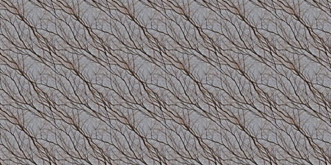 Intricate Branch Pattern on Gray Background