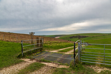 A cattle grid in the South Downs, at Kingston Ridge - 754479610
