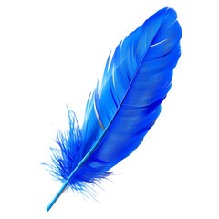 blue feather isolated on transparent background cutout 