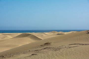 Sand dunes by the sea