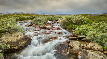 Naklejka na ściany i meble Fluss Semska, Saltfjellet-Svartisen Nationalpark, Nordland, Norwegen