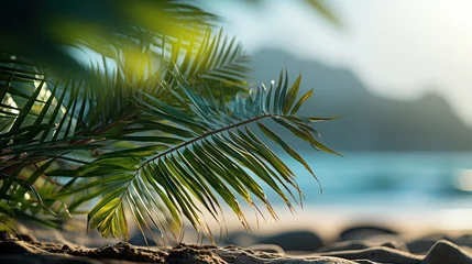 Papier Peint photo Anse Source D'Agent, île de La Digue, Seychelles Green leaves of palm trees on the seashore at sunset.