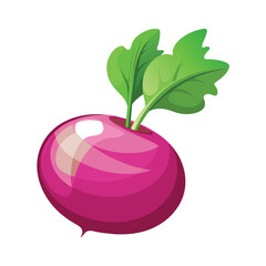 Turnip illustration on white background