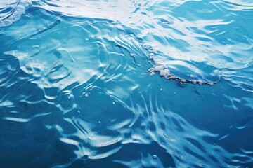 Obraz premium A small lizard swimming in the water. Suitable for nature and wildlife concepts