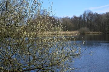 der See im Frühjahr