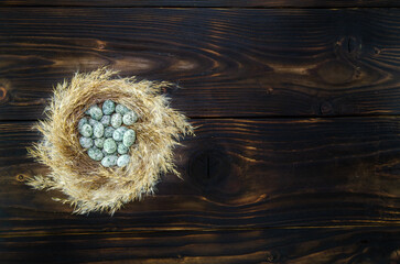 Green eggs in nest on dark vintage wooden background. Copy space.