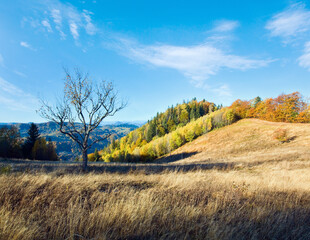 Fototapeta premium Autumn mountain Nimchich pass