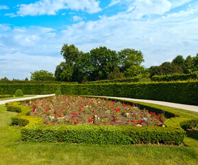 Blossoming flowerbed  in summer city park