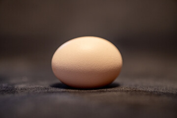Single Organic Chicken Egg from Natural Farm. 