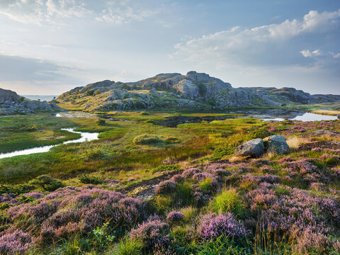 K&uuml;stenlandschaft, Eigeroya, Agder,  Norwegen