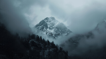 fog in the mountains