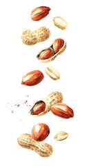 Falling peanuts. Watercolor hand drawn illustration isolated on white background