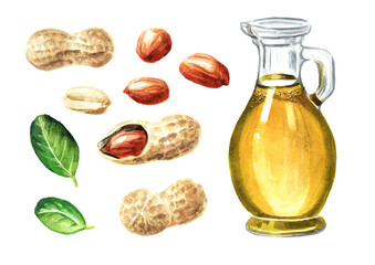 Peanut oil set. Hand drawn watercolor illustration, isolated on white background 