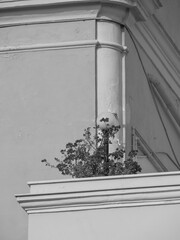 Die HAfenstadt Bari in Italien