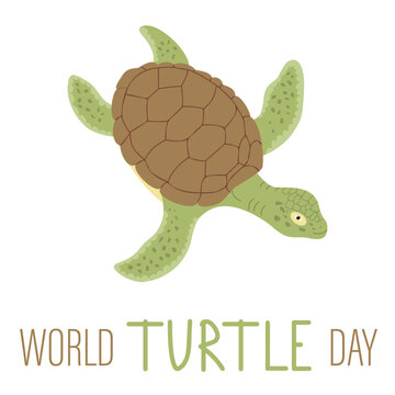Turtle day. Vector square illustration for banners, poster. 