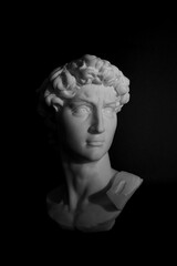 Michelangelo's David Sculpture Head